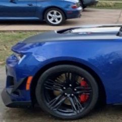 Profile of Robert Roytas