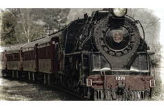 2022 Port Alberni Vintage Locomotive Visit & Drive