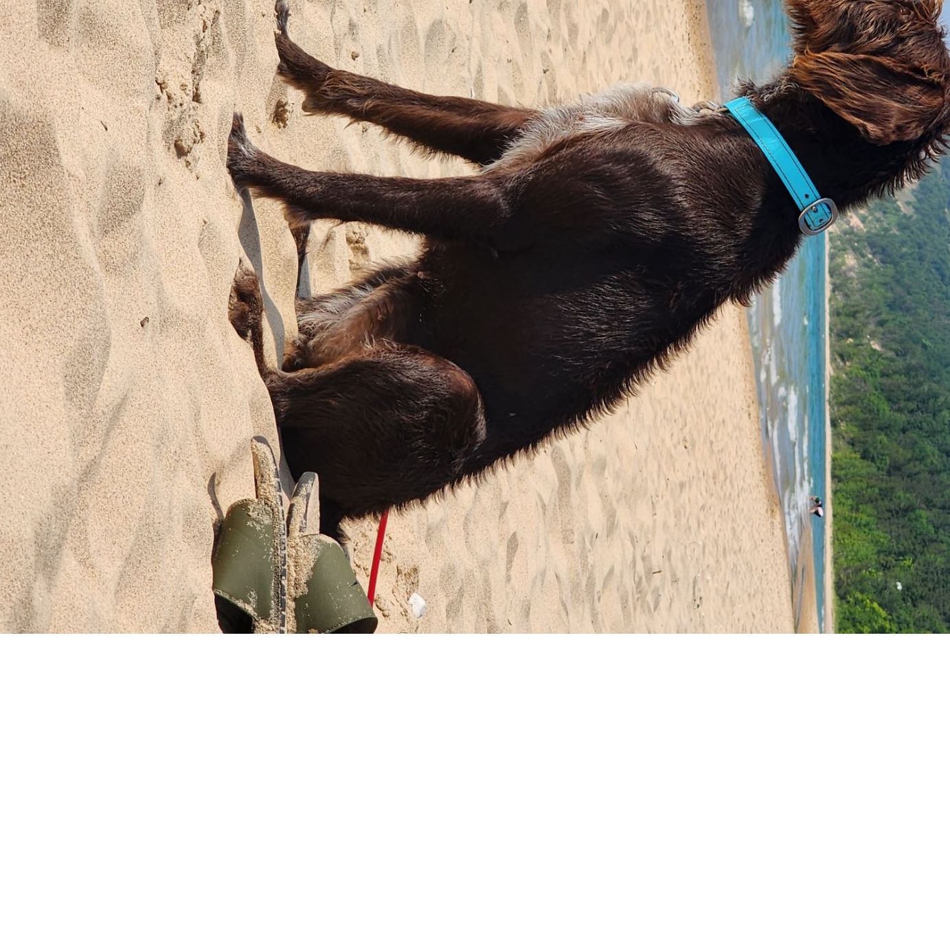 Profile of John Baker