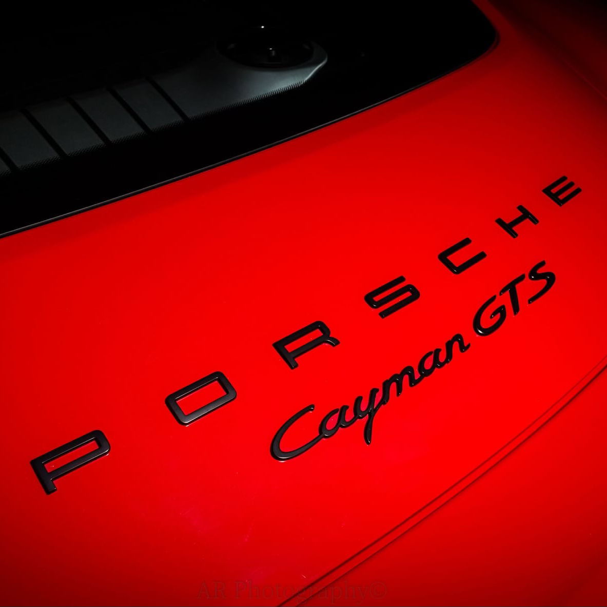 Profile of Joshua Bardell