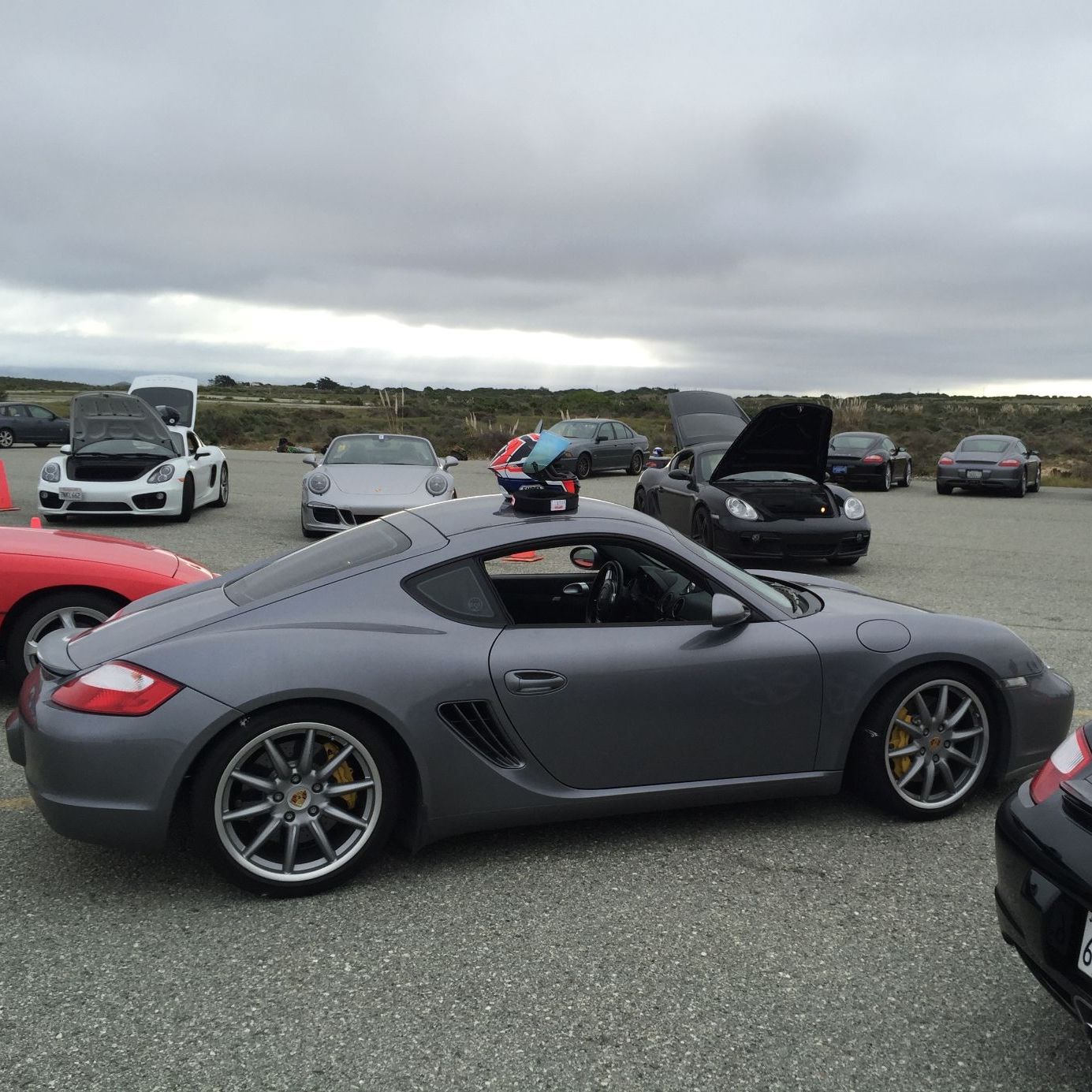 Profile of Rohan Marr