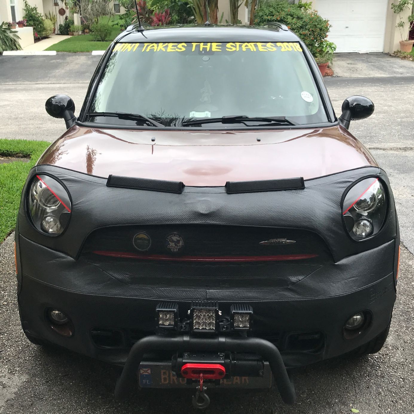 Profile of Stephen Campbell