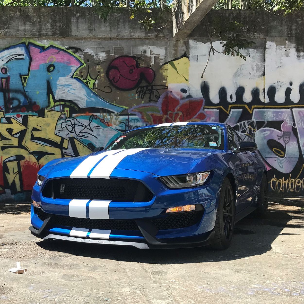 Profile of Michael Santangelo