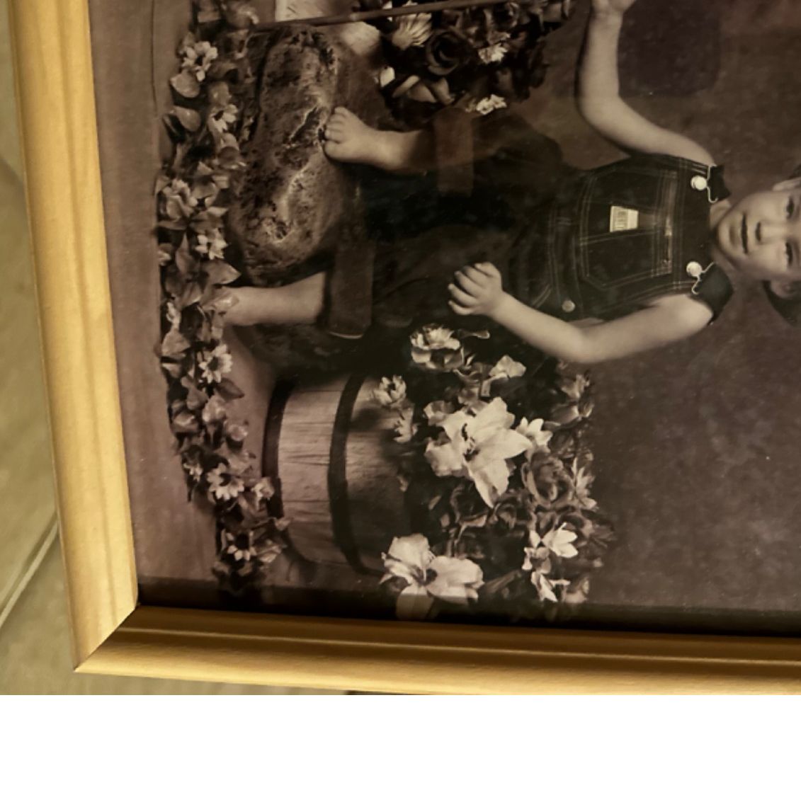 Profile of Luke Eifert