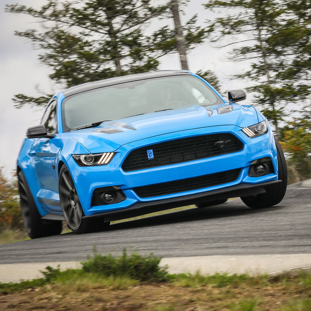 Profile of Dean Johnson