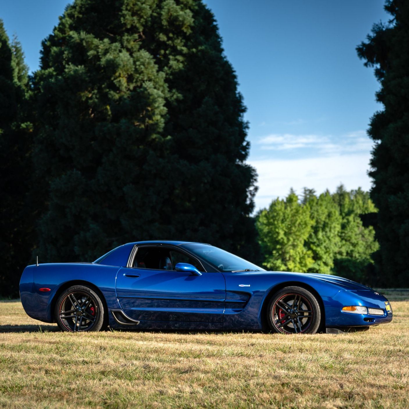 Profile of Mike Hohbach