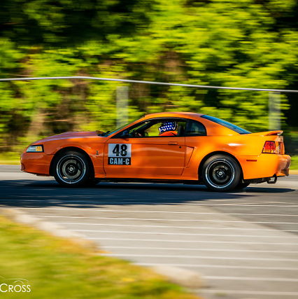 Profile of Theodore Singer