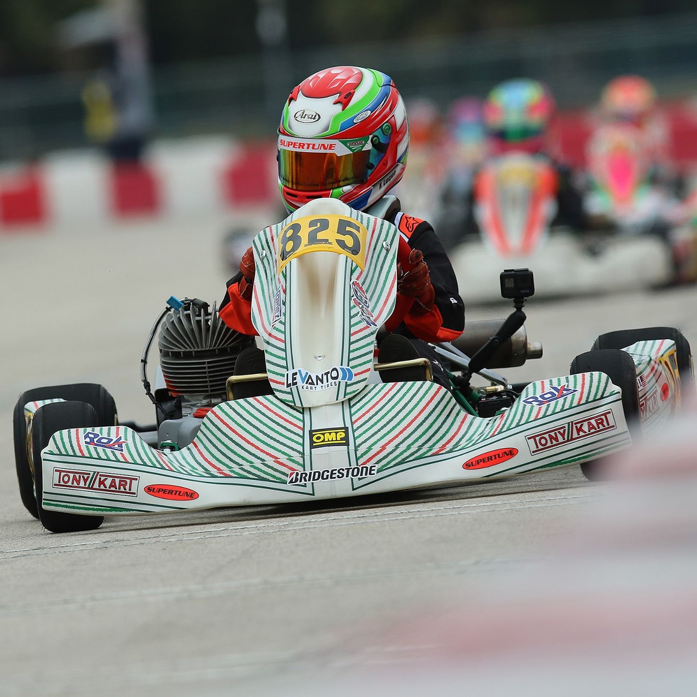 Profile of Fernando Luque