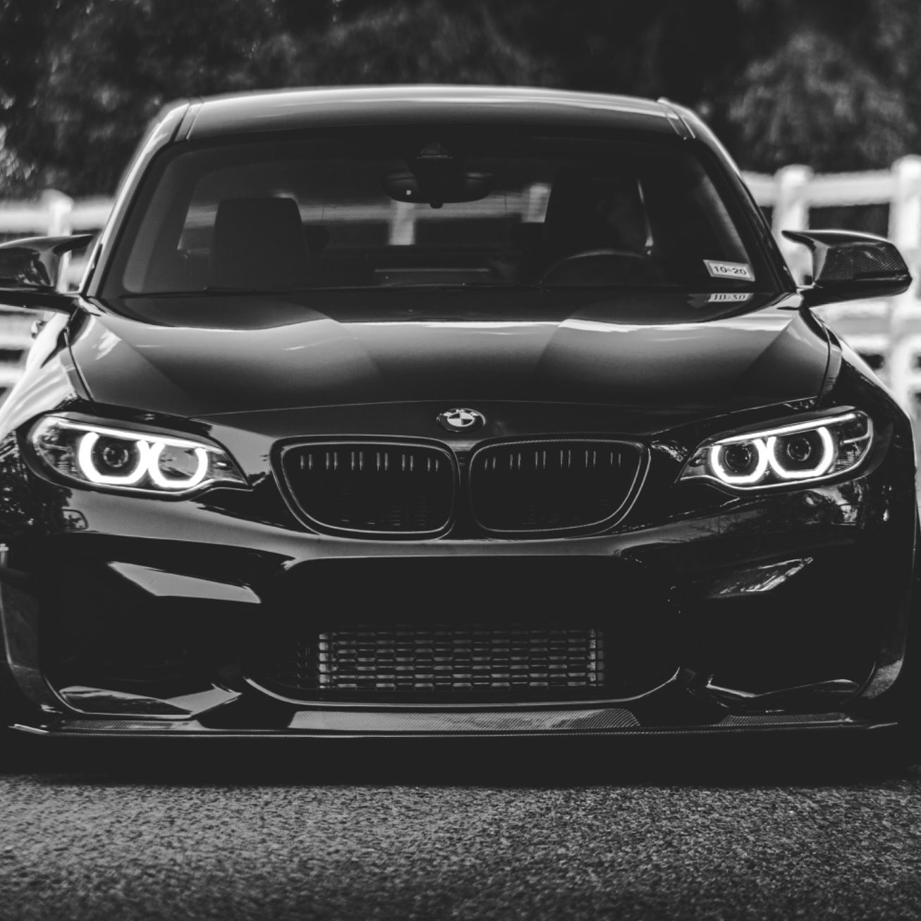 Profile of Steven Swiger