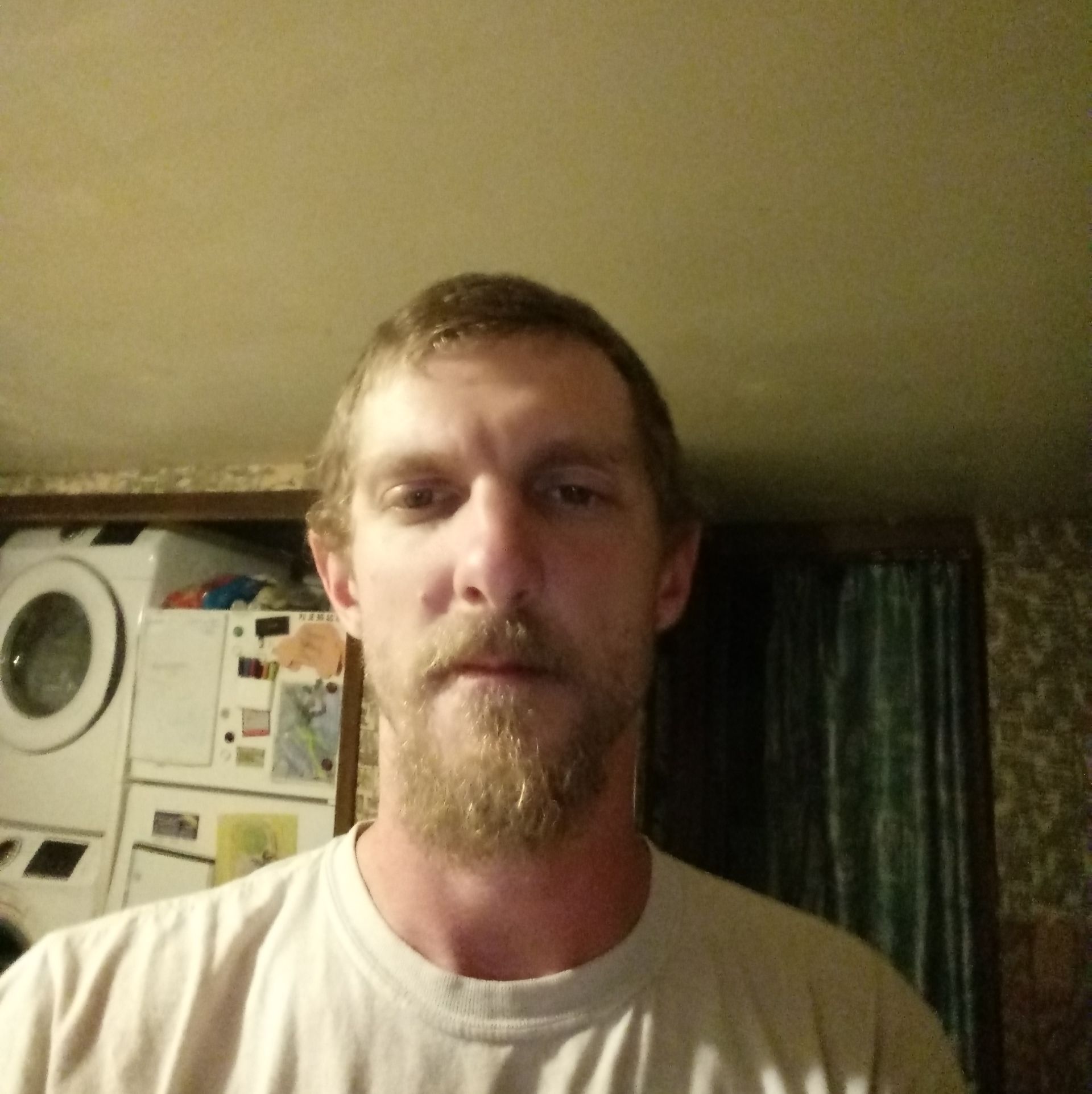 Profile of Wayne Anderson