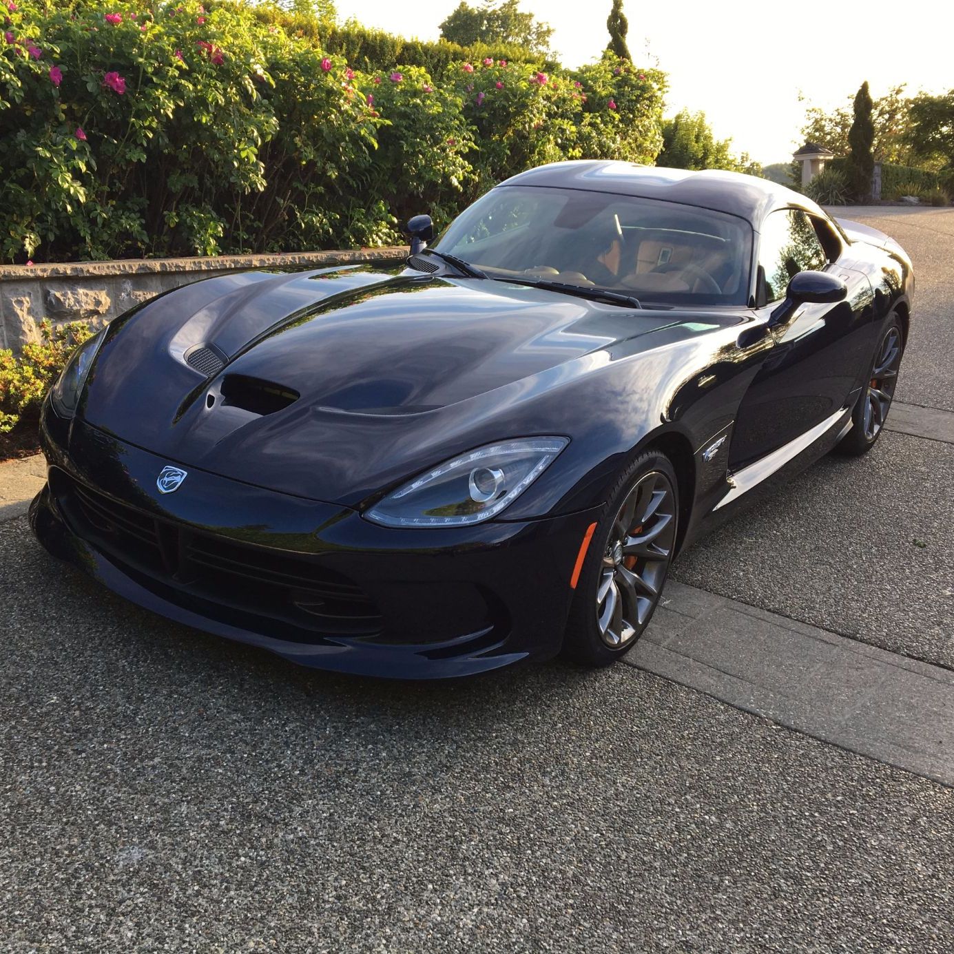 Profile of Nick Huzar