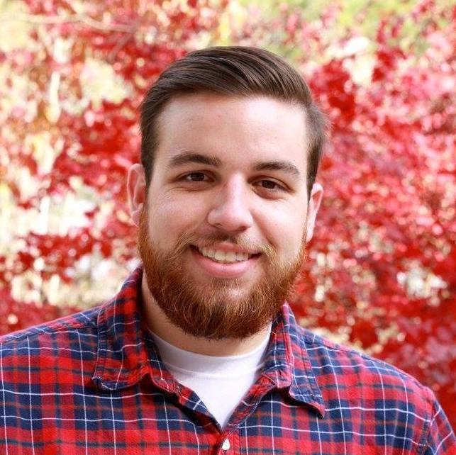 Profile of Alex David