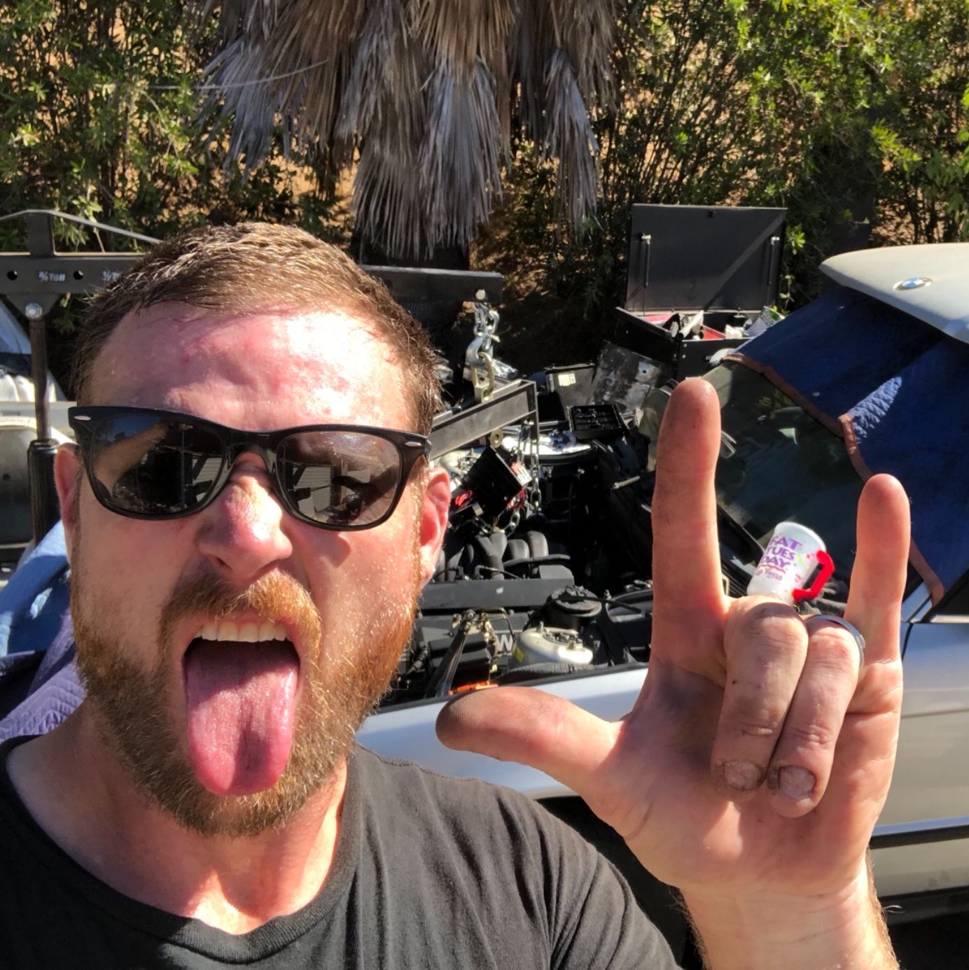 Profile of MattyMatt Gilbert