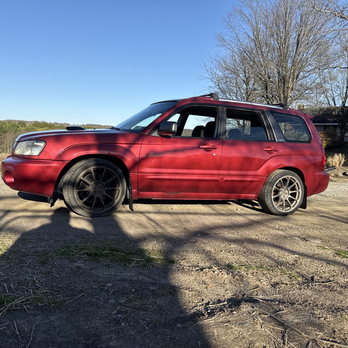 Profile of Aaron Rankin