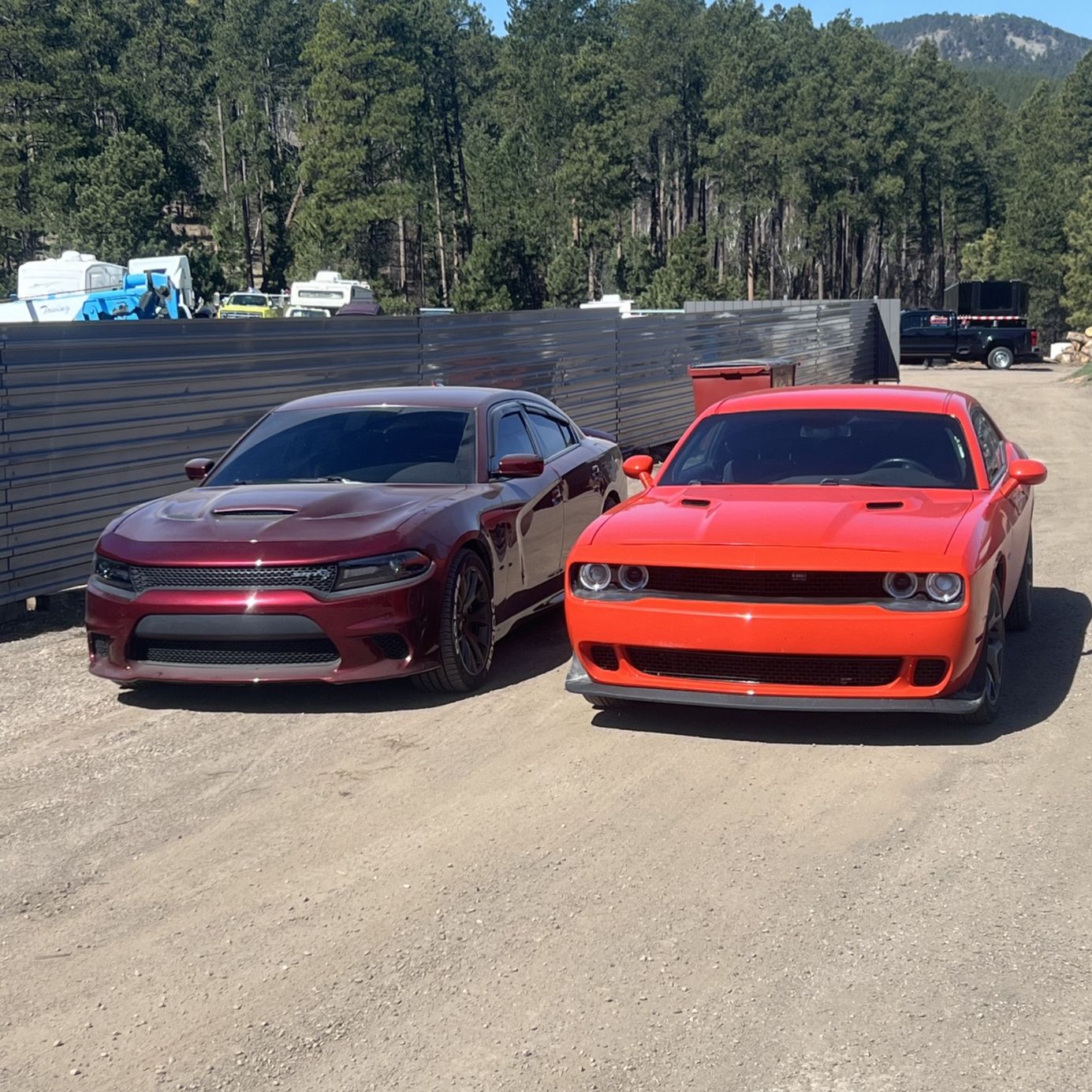 Profile of Josh Stoltenberg