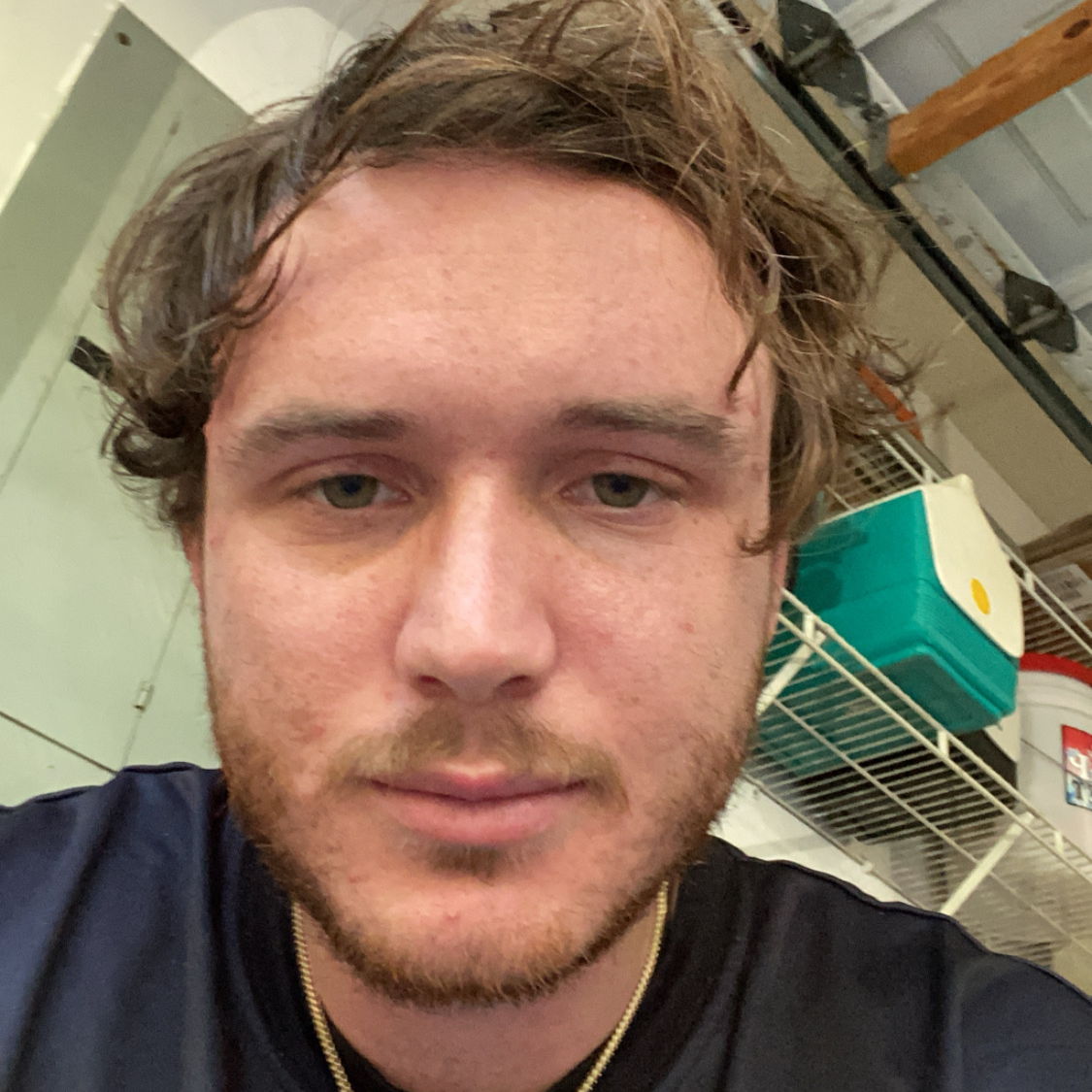 Profile of Nicholas D'Andrea