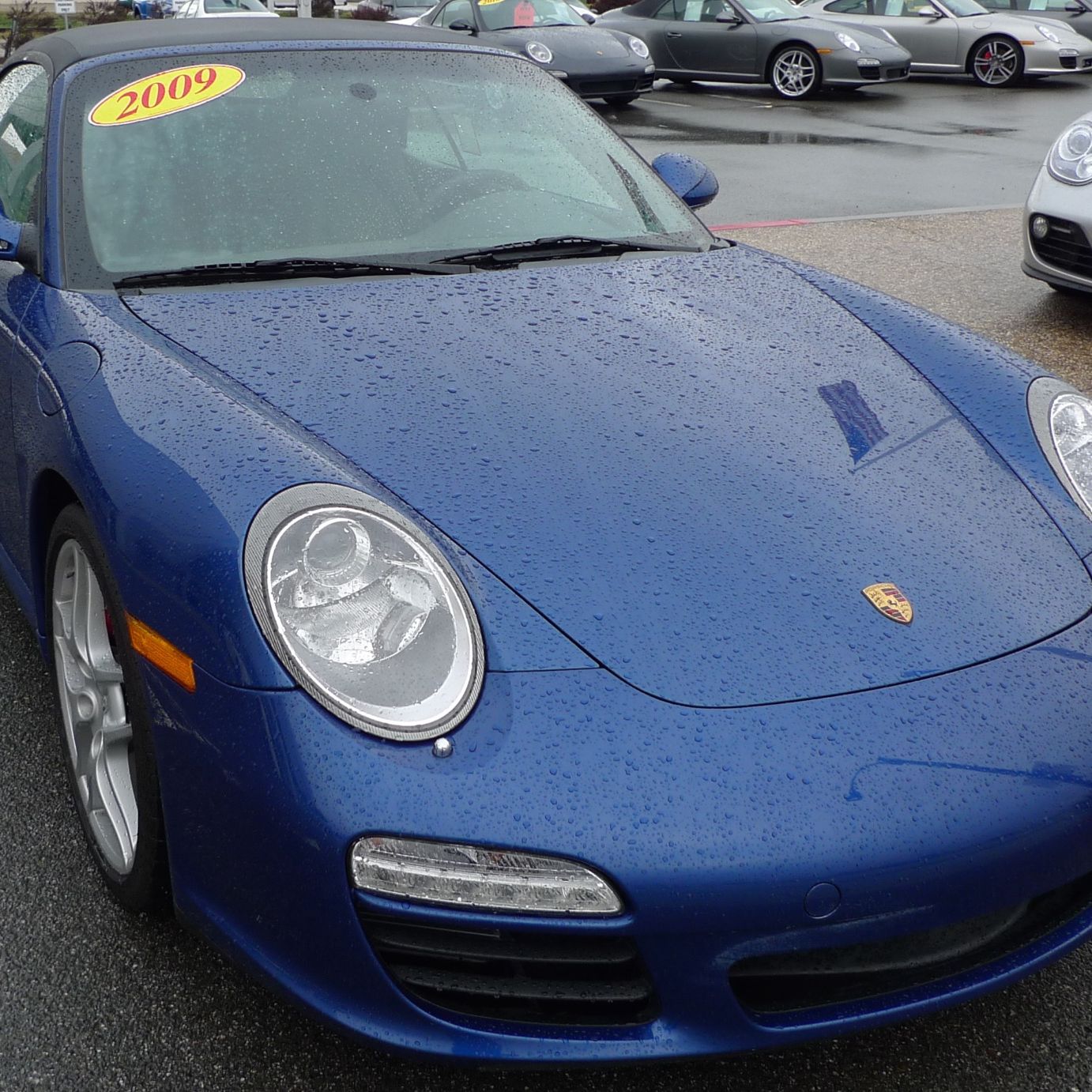 Profile of Gustin Ho