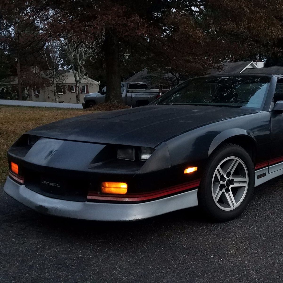 Profile of Joe Shelton