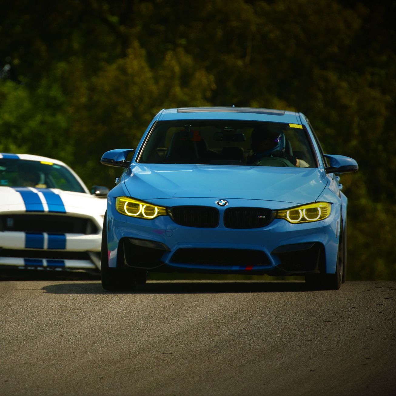 Profile of joshua Jackson