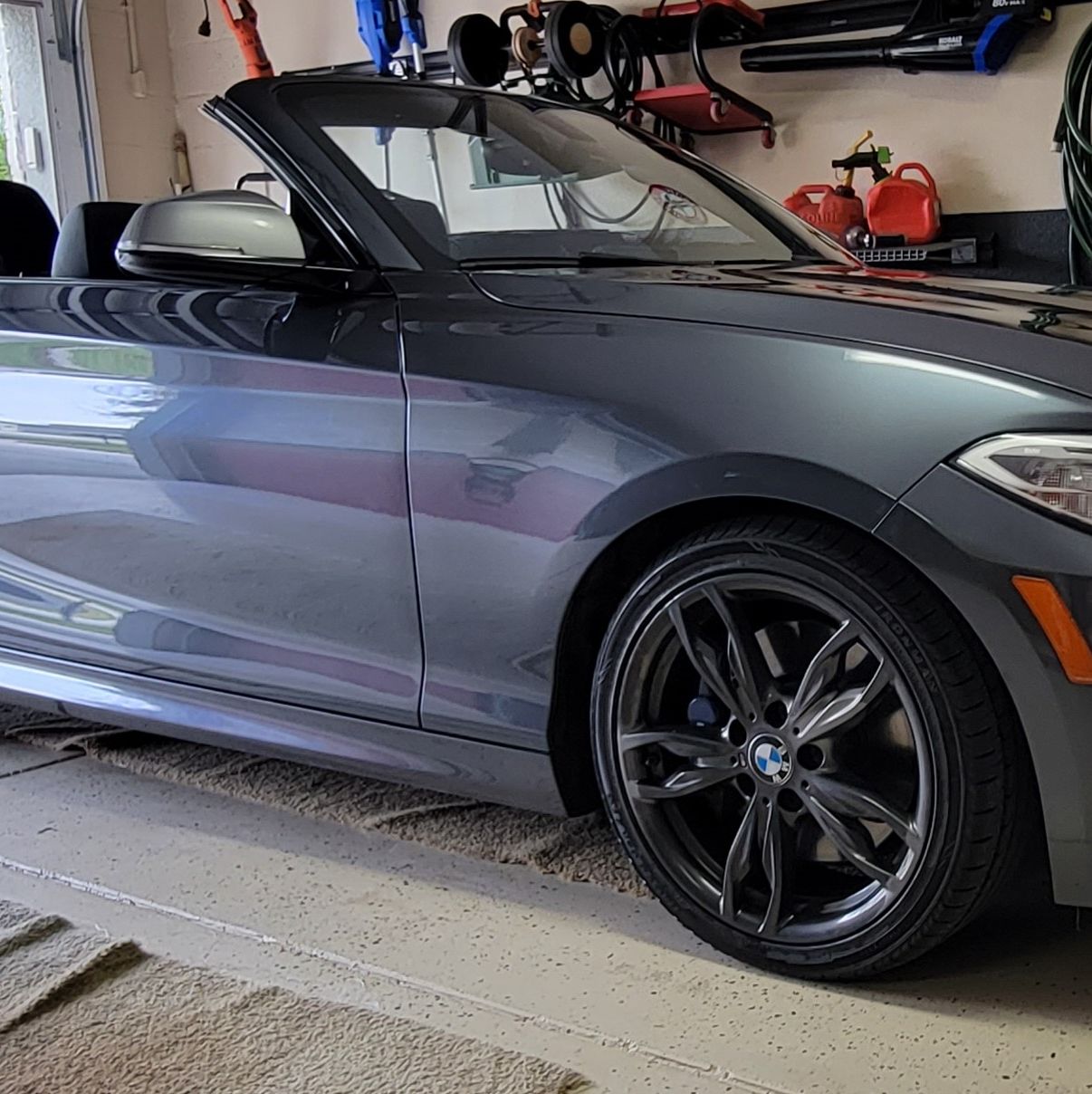 Profile of Sheila Ross