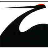 Profile of Ryan Zelinski