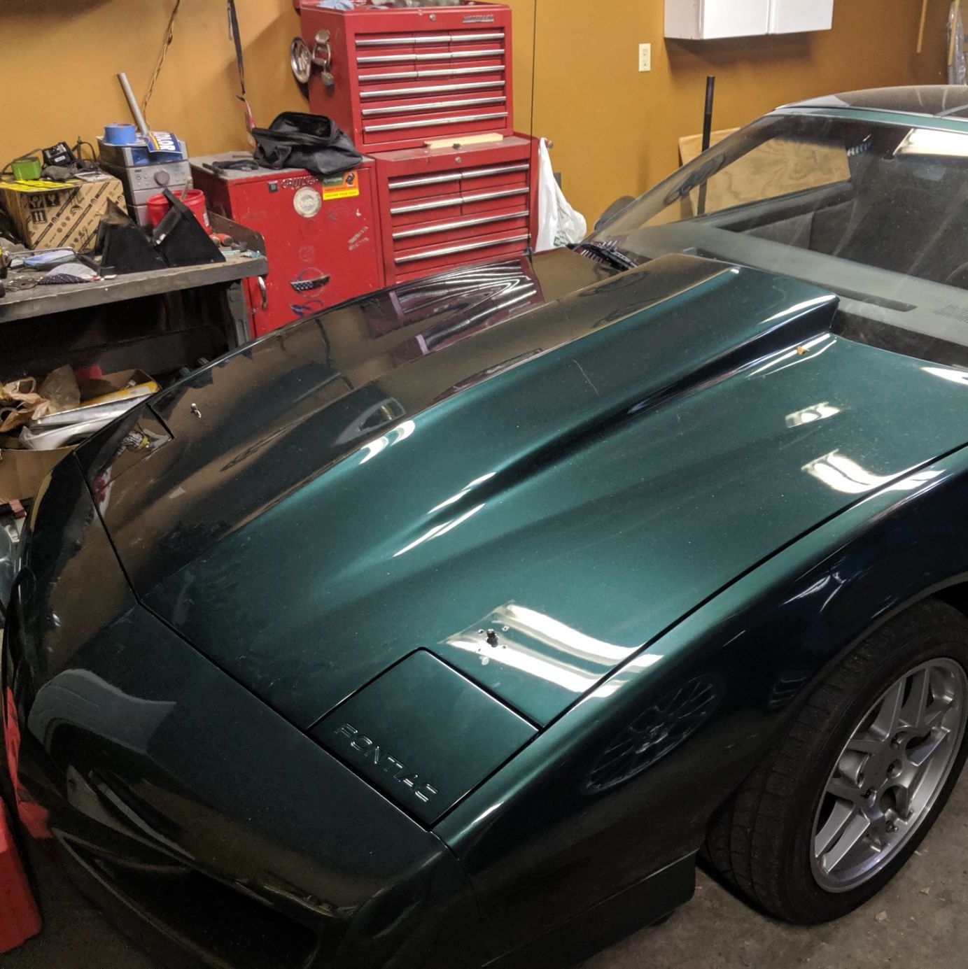 Profile of Nick Arnone