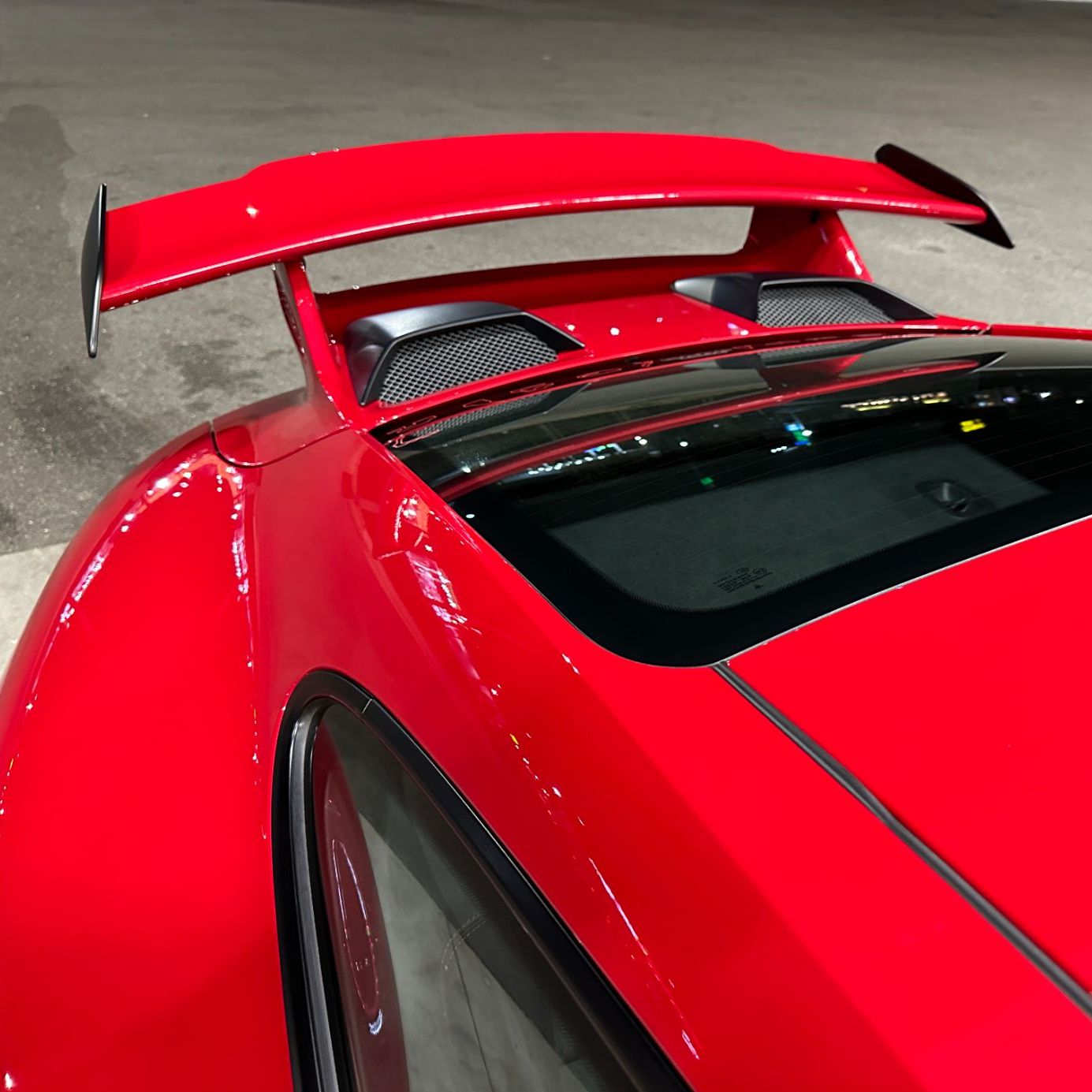 Profile of Wendy Cupani