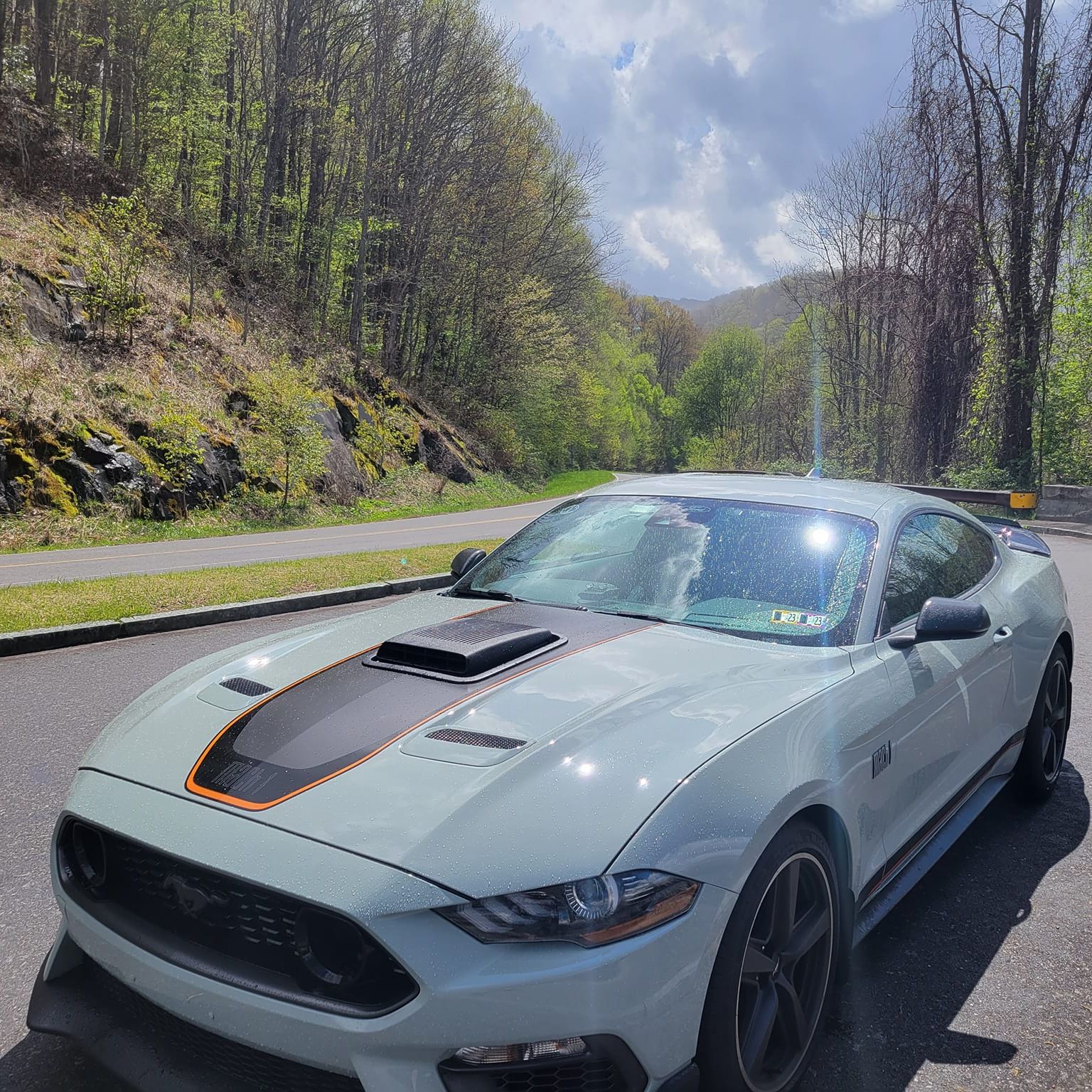 Profile of Michael Graening