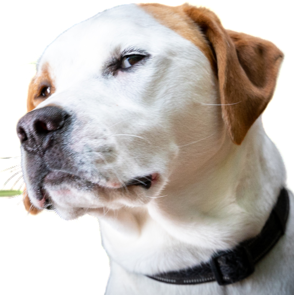 Profile of Sterling Christenson