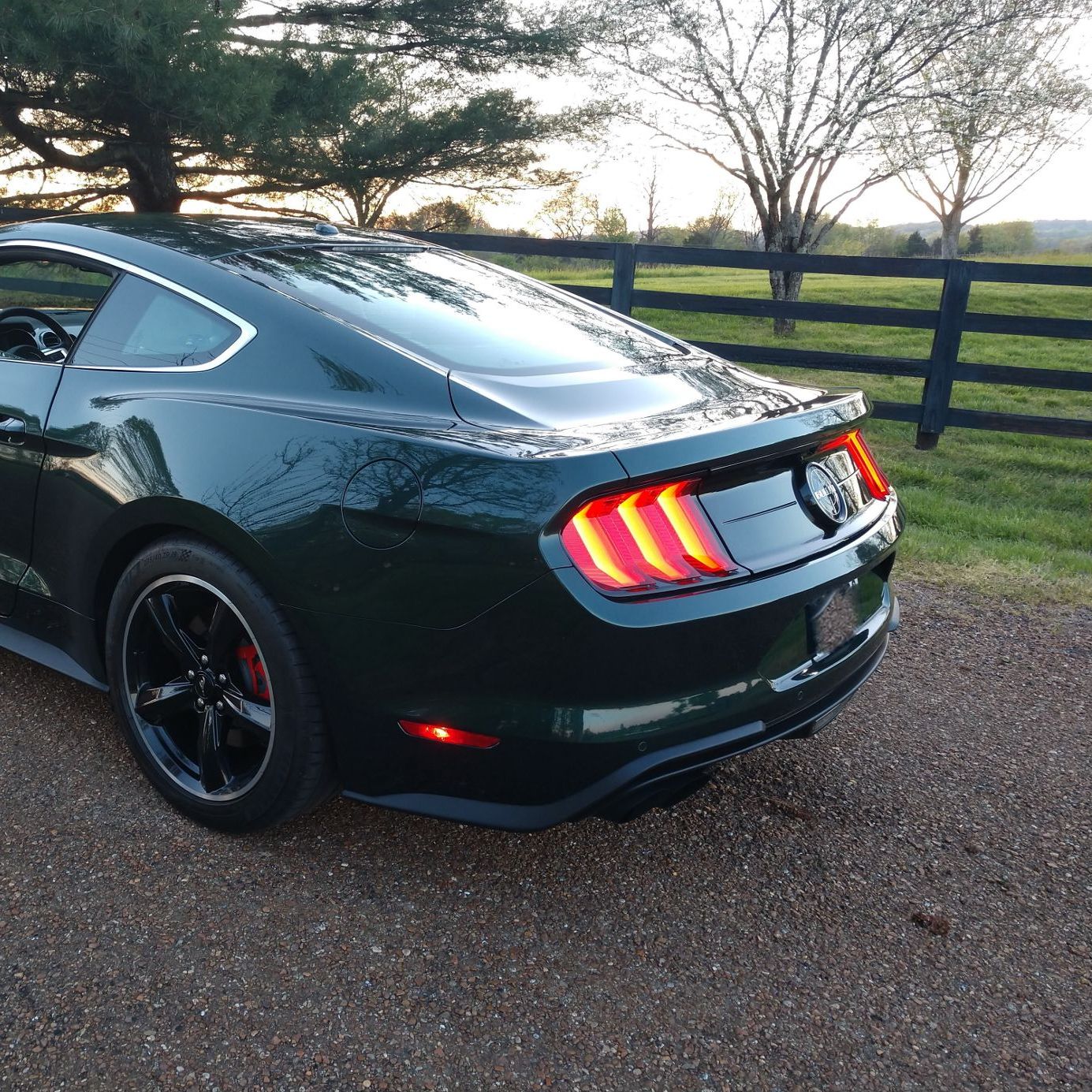 Profile of Bryan Ryckeley