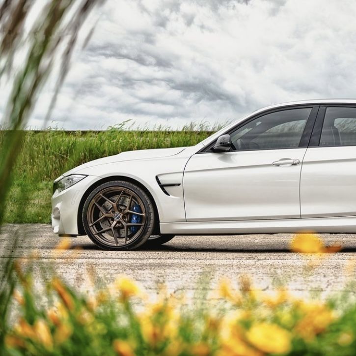 Profile of Erik Frangos