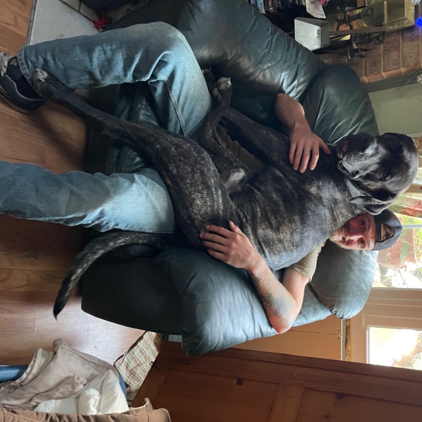 Profile of Tristan Trower