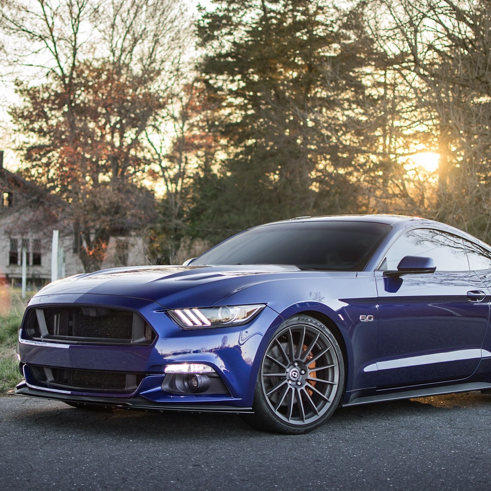 Profile of Cody Pennell