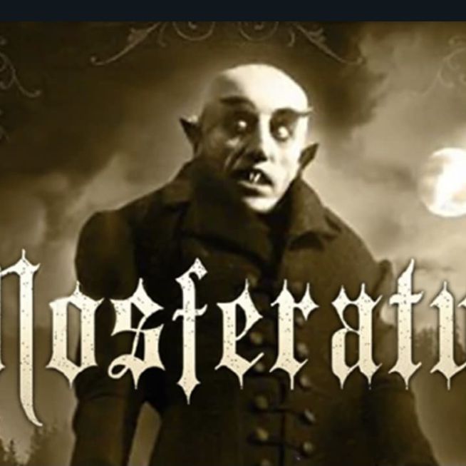 Profile of Kamran Marashi