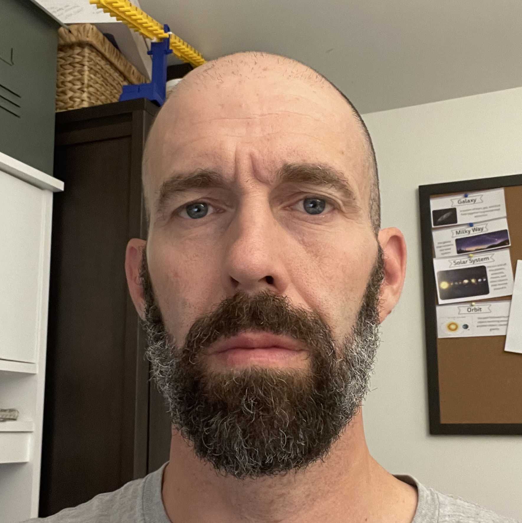 Profile of Stephen Bearss