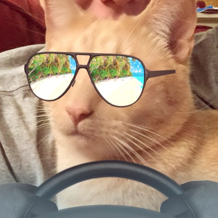 Profile of Lauren Hardy