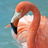Profile of David Bell