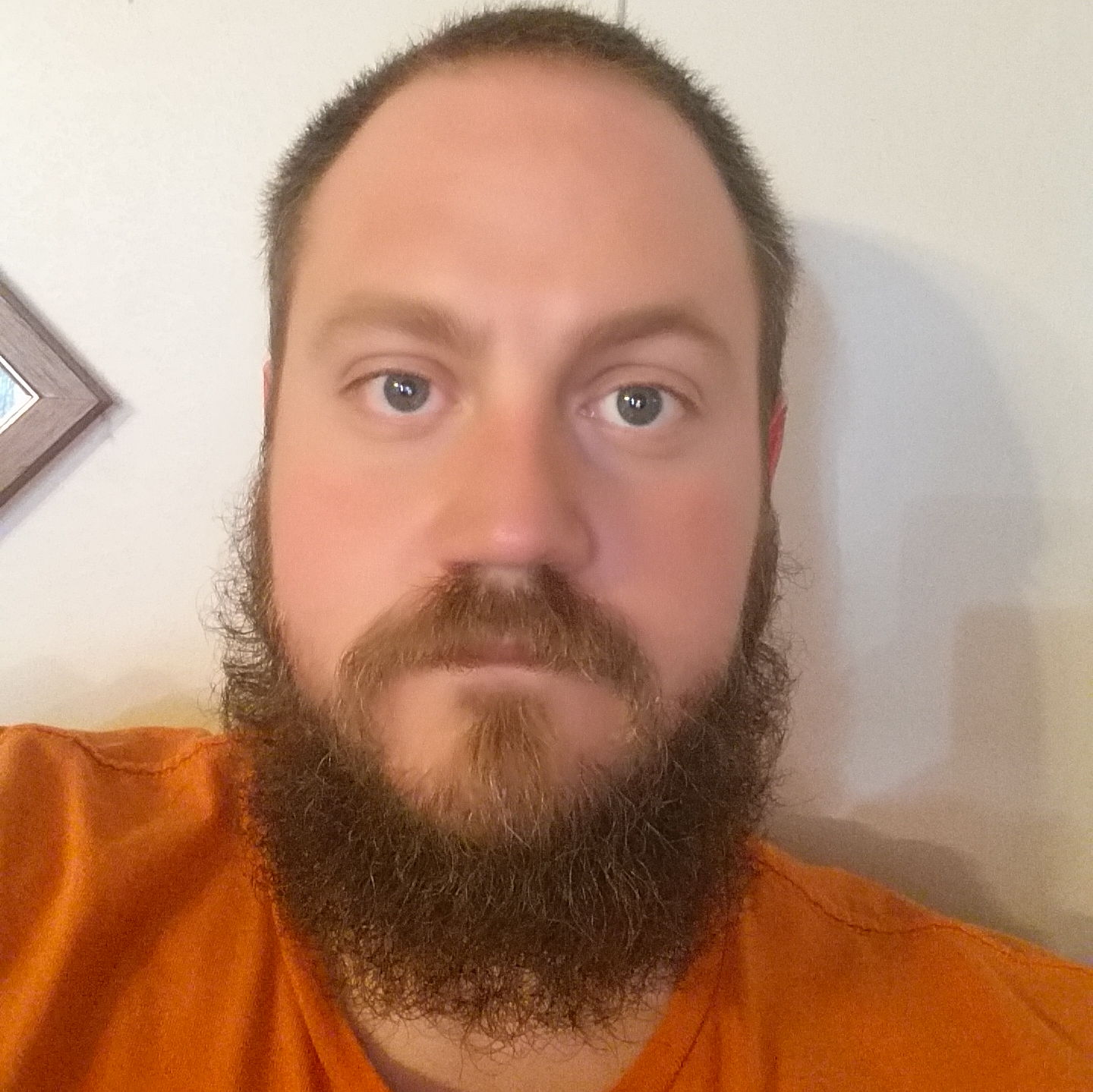 Profile of Wayne Taylor