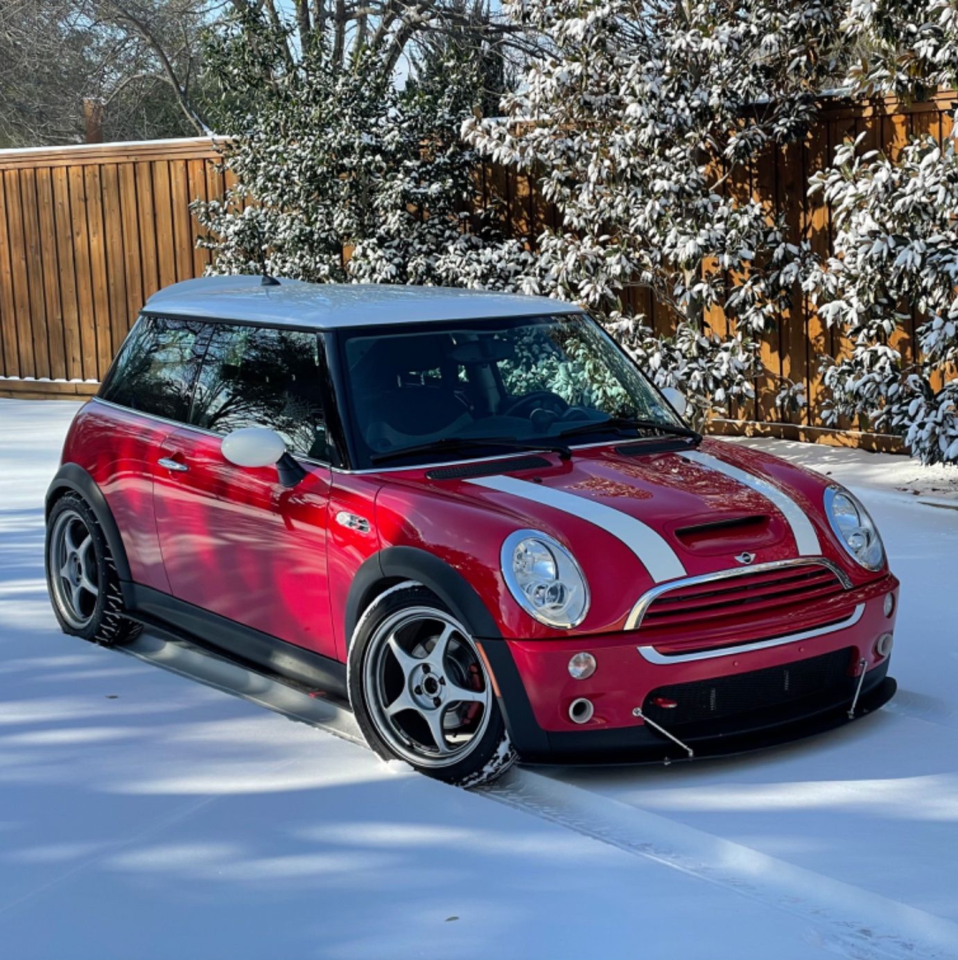 Profile of Jamie Bush