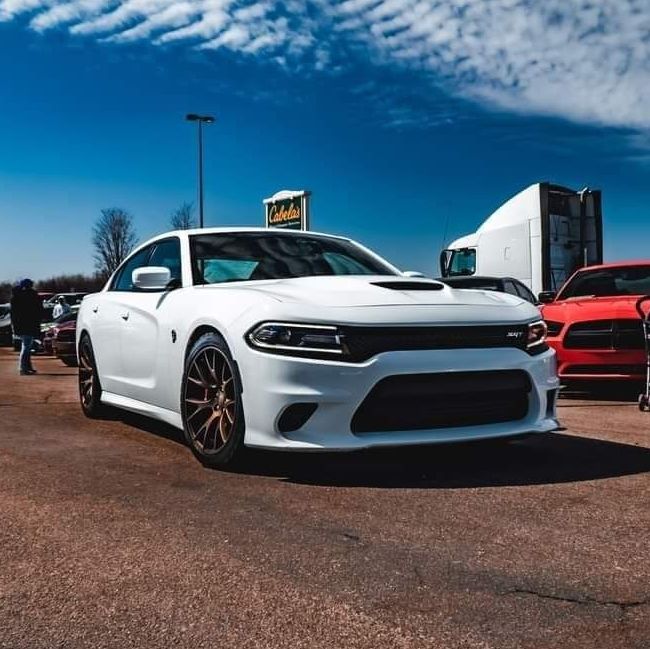 Profile of Joseph Anderson