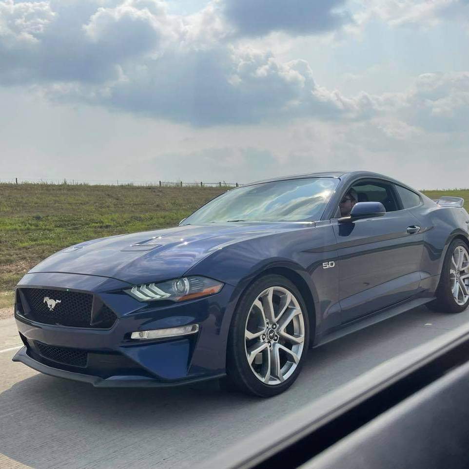 Profile of Philip Weiss