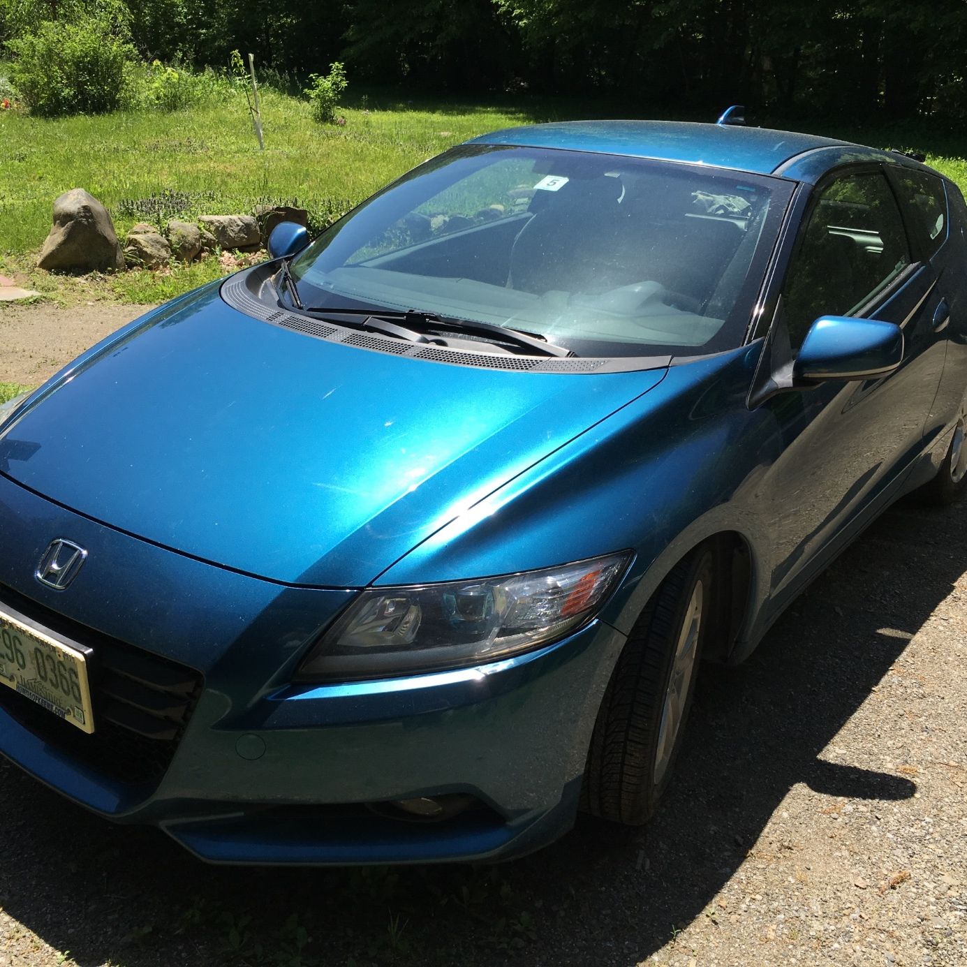 Profile of Douglas Thornton