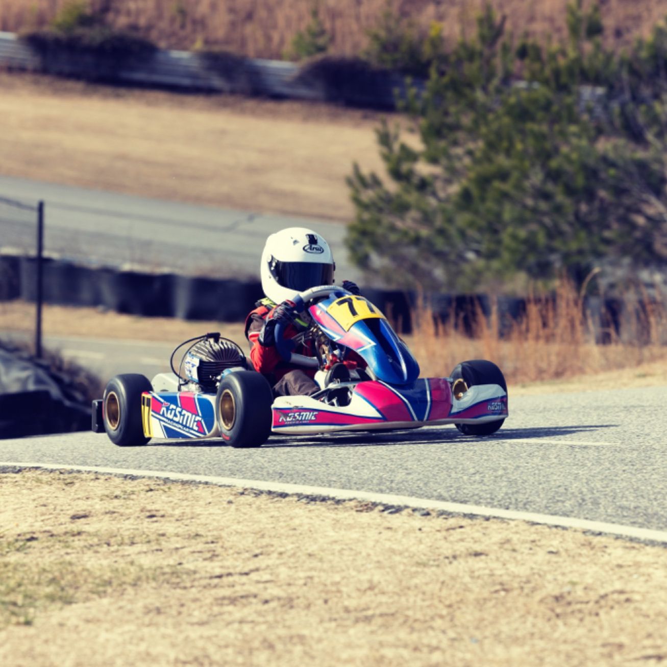 Profile of Francisco Puerta