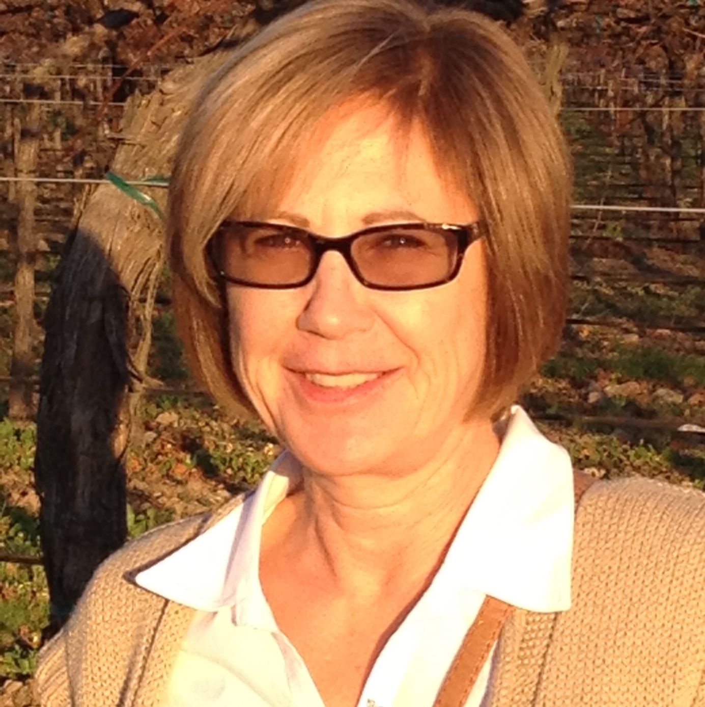 Profile of Diane Merlo