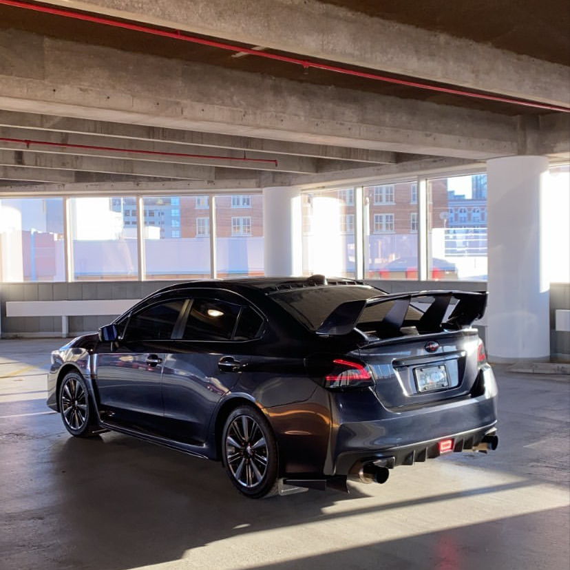 Profile of Chandler Fields