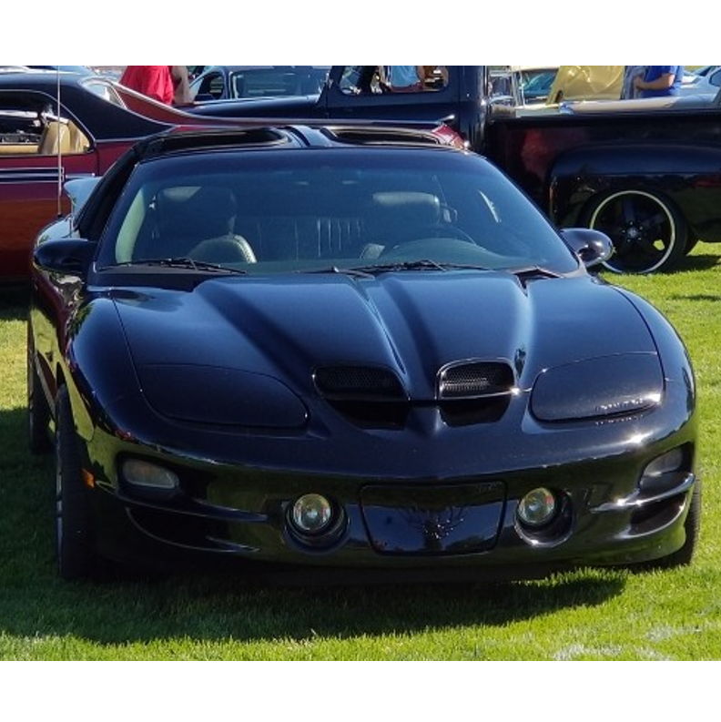 Profile of David Beier