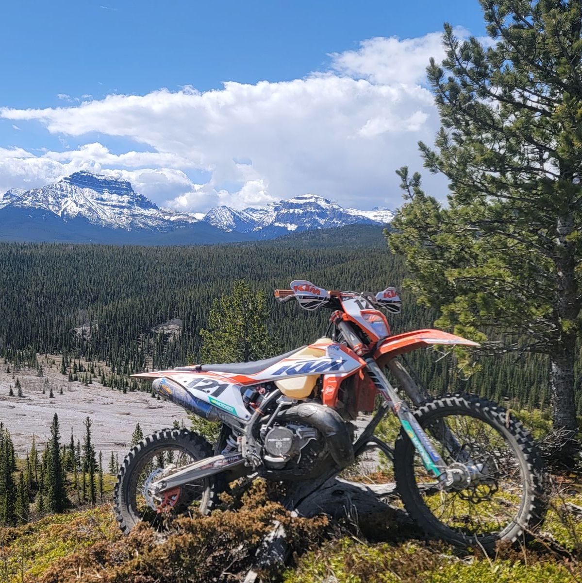 Profile of Andreas Pufal