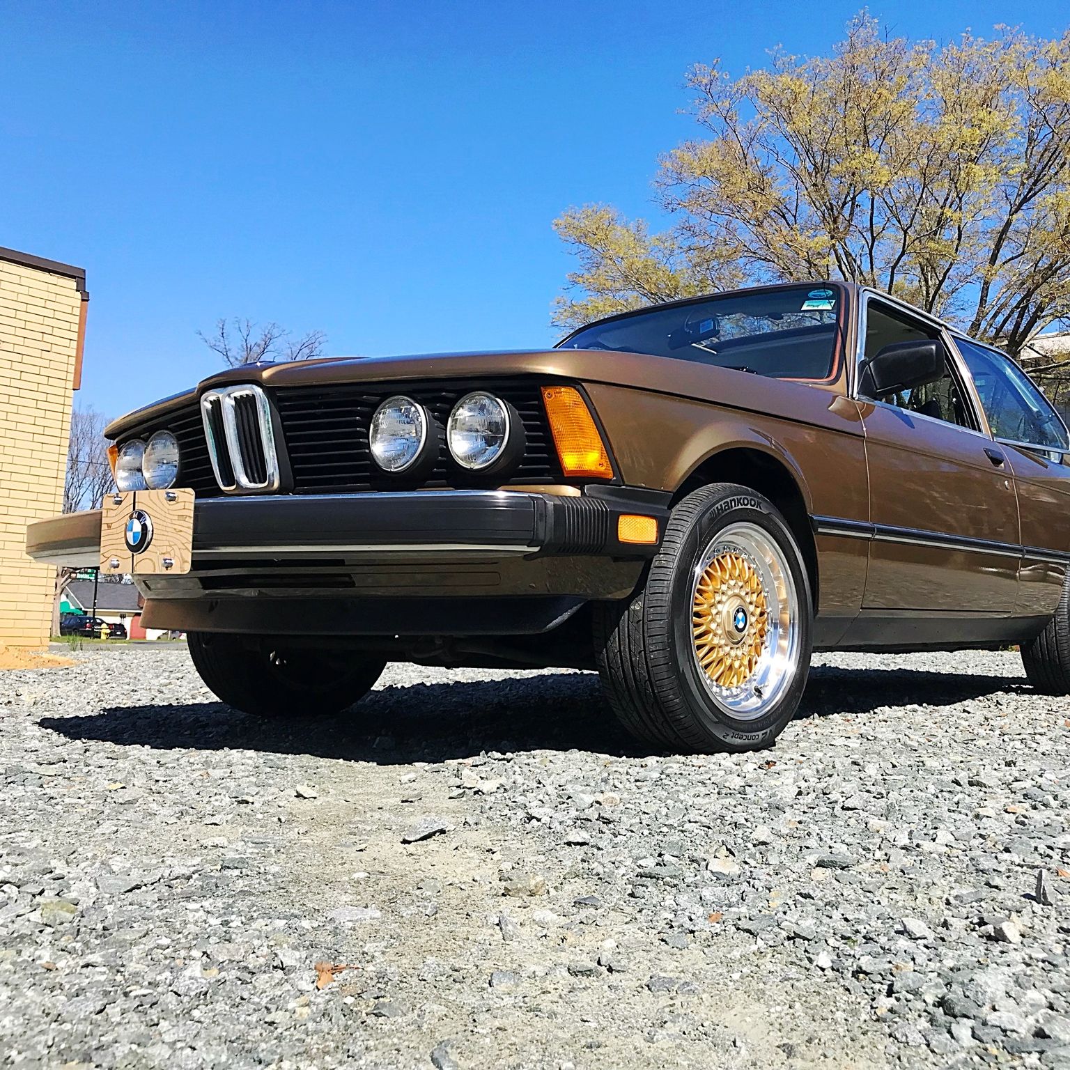 Profile of Nick Salameh