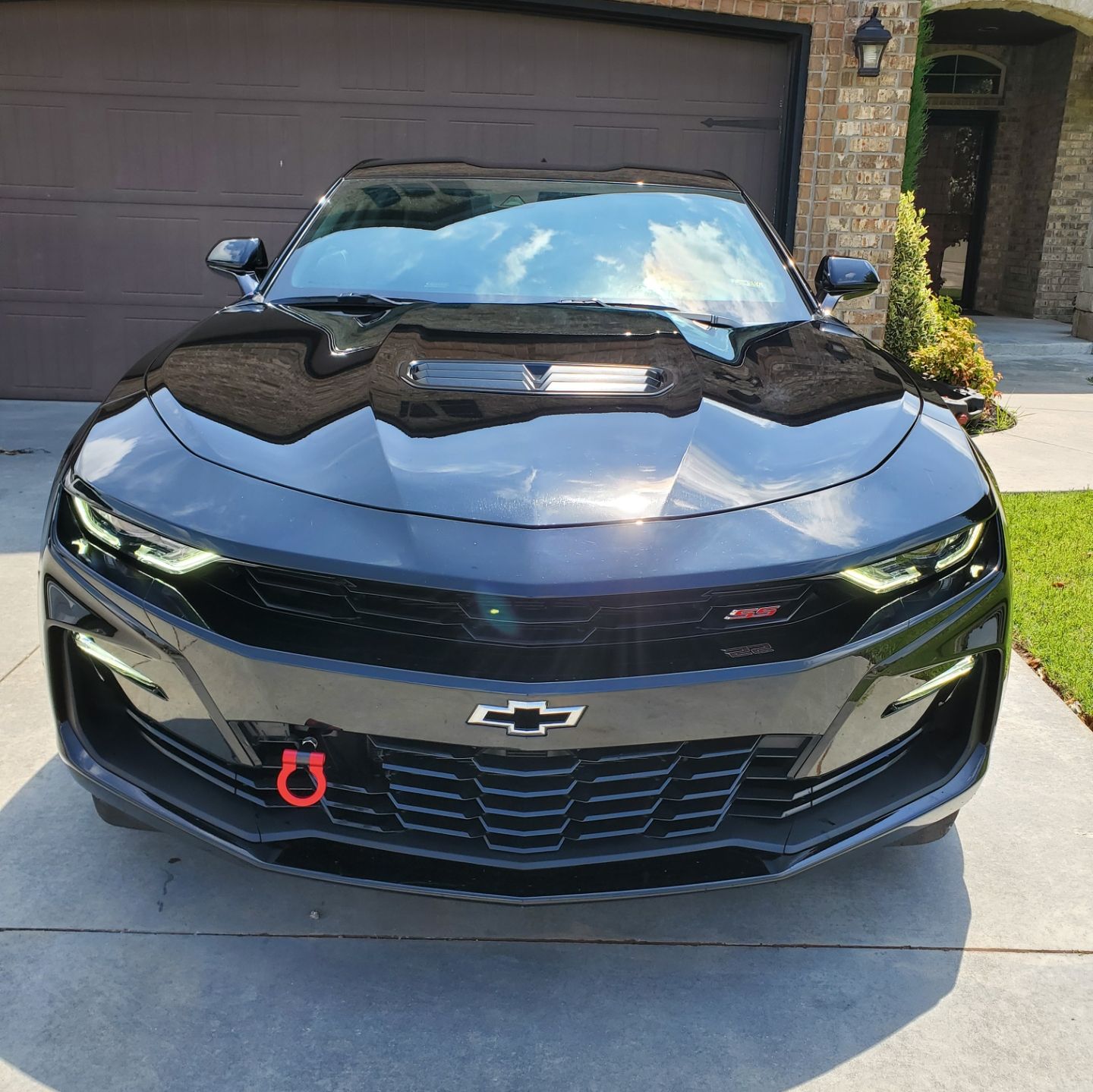 Profile of David Ruiz