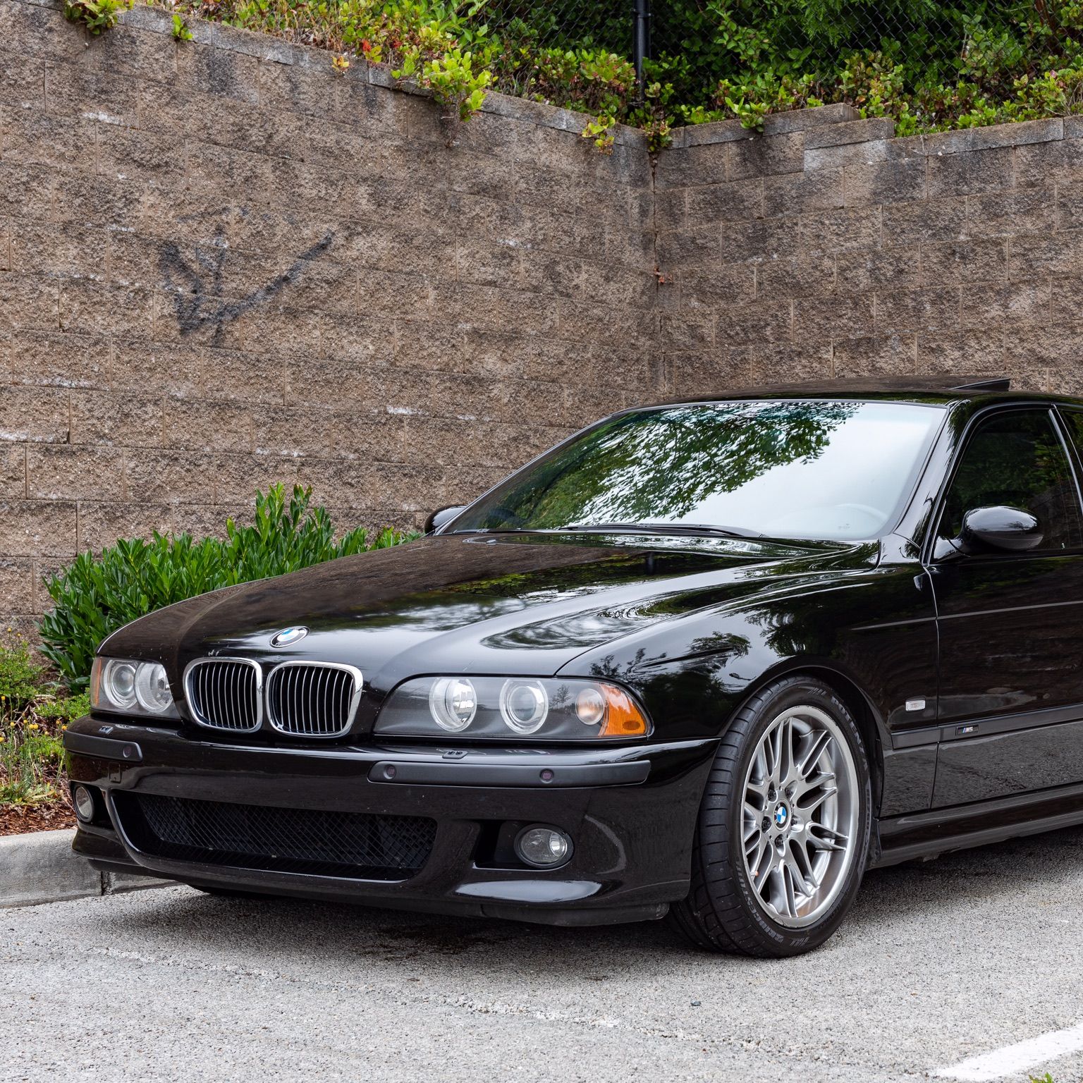 Profile of Ryan Centioli